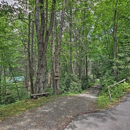 Creekside Cabin With Deck In Pisgah Forest! Barnardsville Εξωτερικό φωτογραφία