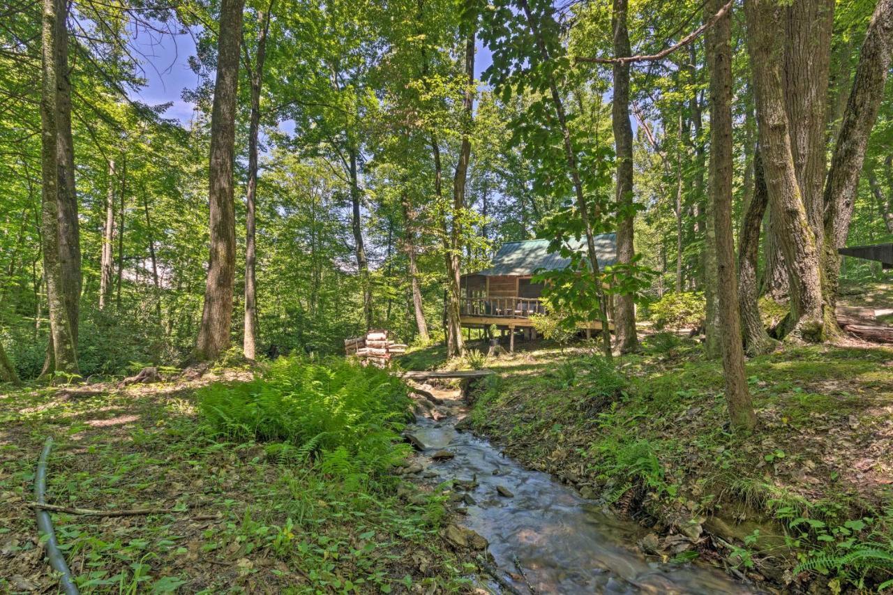 Creekside Cabin With Deck In Pisgah Forest! Barnardsville Εξωτερικό φωτογραφία