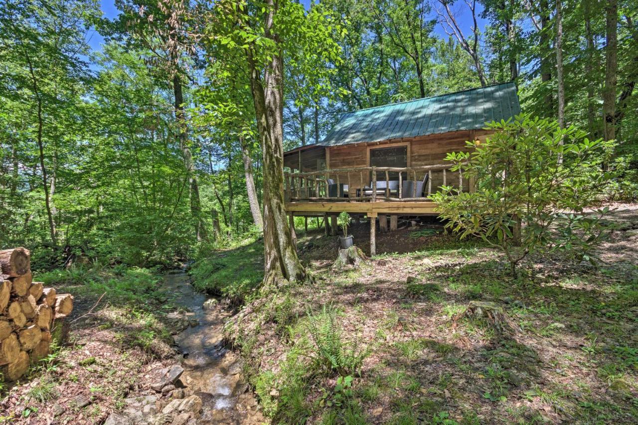 Creekside Cabin With Deck In Pisgah Forest! Barnardsville Εξωτερικό φωτογραφία