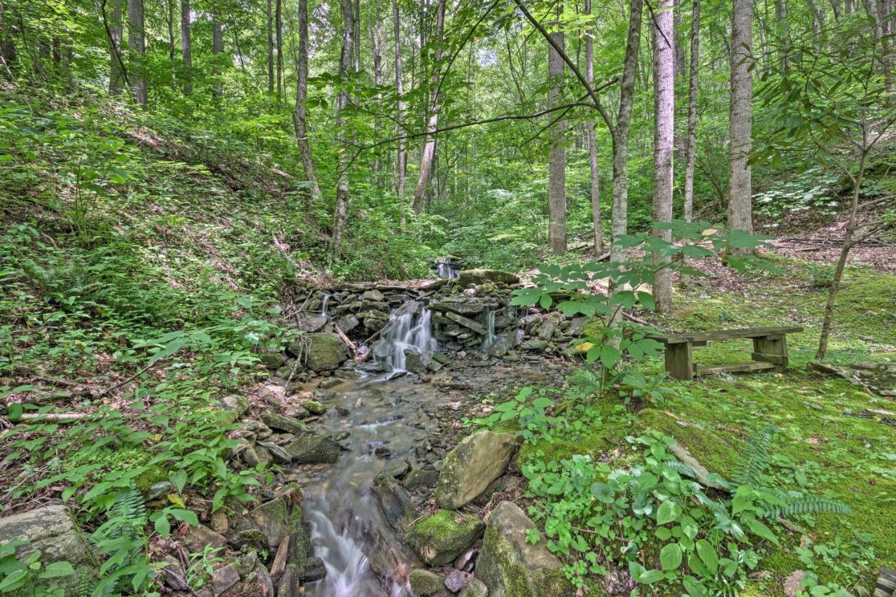 Creekside Cabin With Deck In Pisgah Forest! Barnardsville Εξωτερικό φωτογραφία